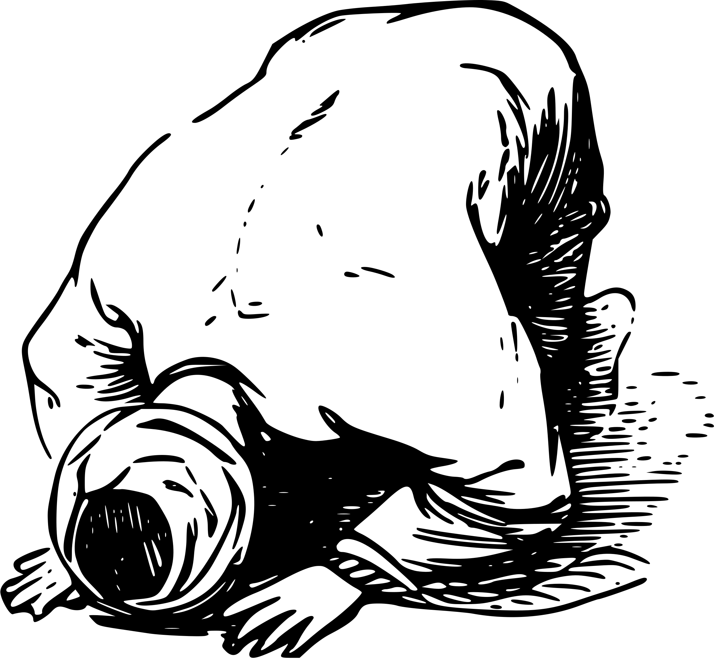 Islamic studies salat
